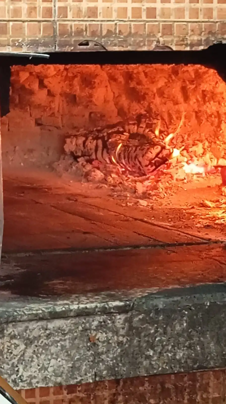 Harput Kebap Salonu Enişte'nin Yeri fotoğraf 2