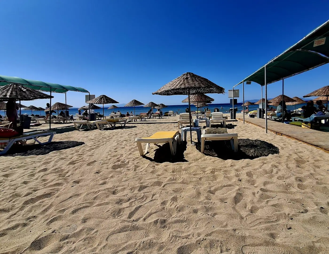 Long beach sarımsaklı