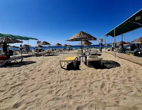 Long beach sarımsaklı
