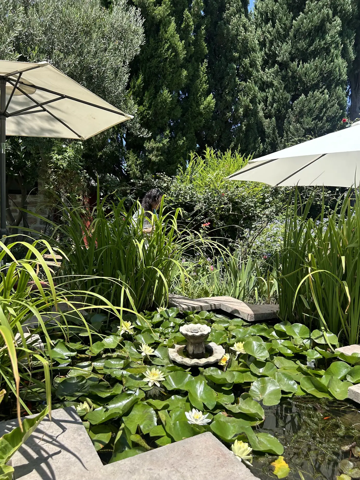 Melin Kahve/Cafe fotoğraf 3