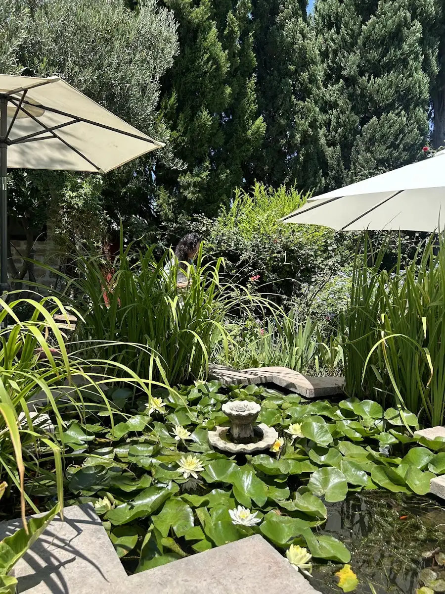 Melin Kahve/Cafe fotoğraf 3