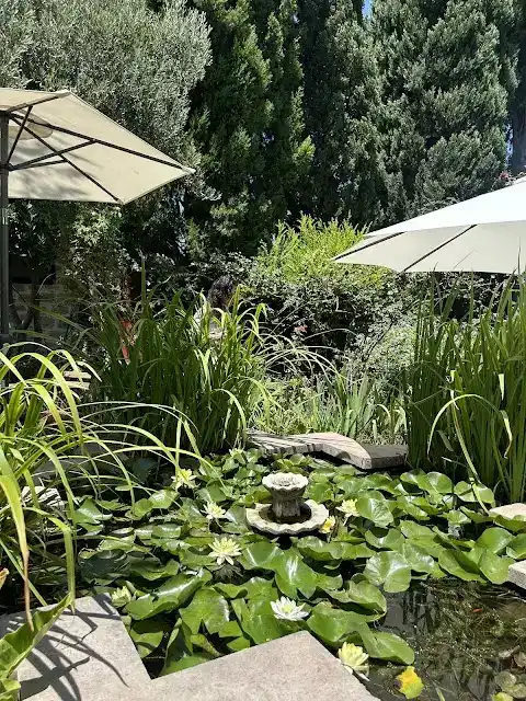 Melin Kahve/Cafe fotoğraf 3