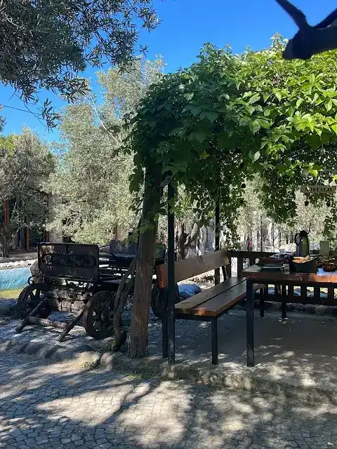MUTLU KÖY NOSTALJİ KÖY SOFRASI fotoğraf 2