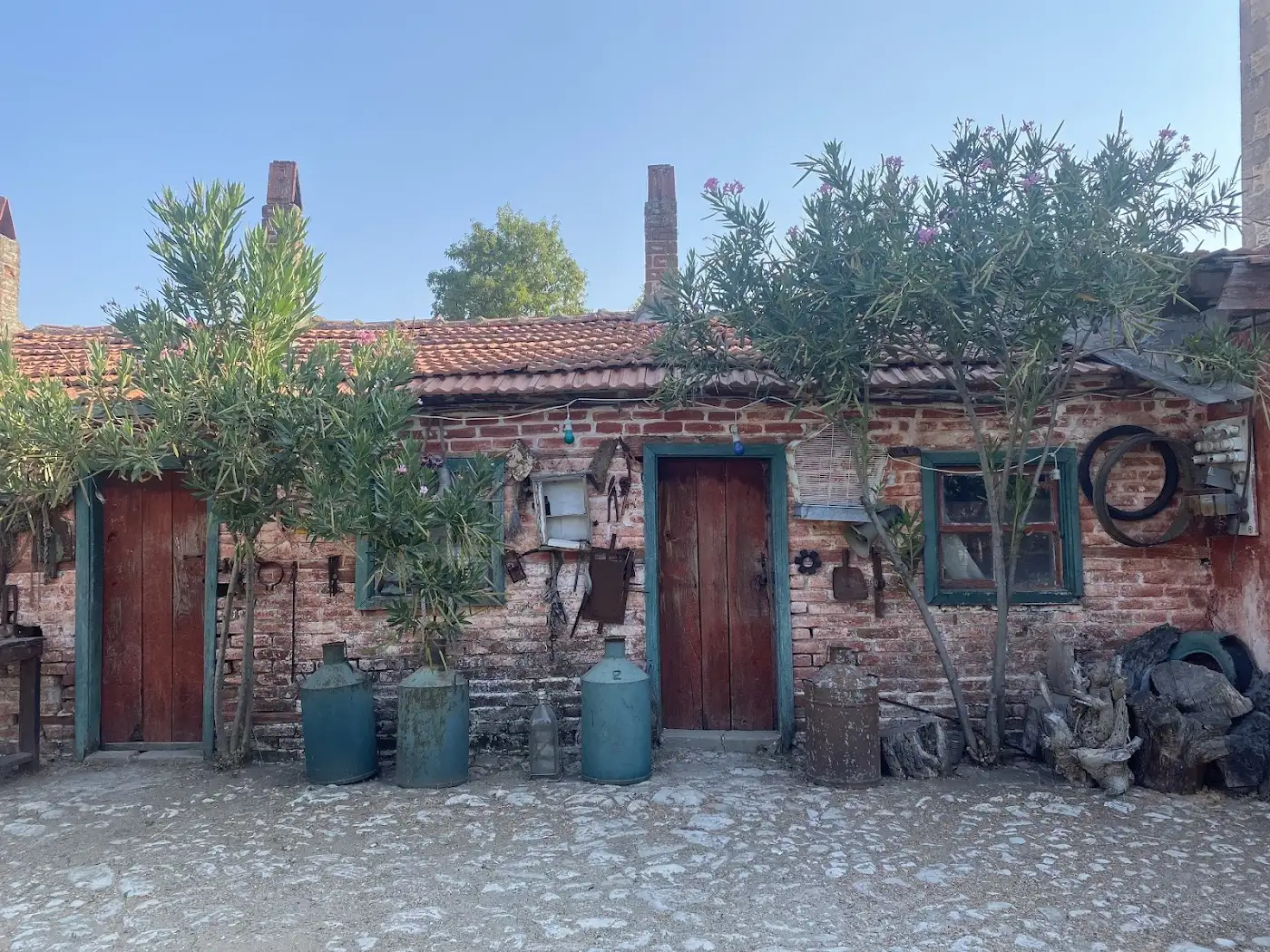 Sural Çiftliği fotoğraf 3
