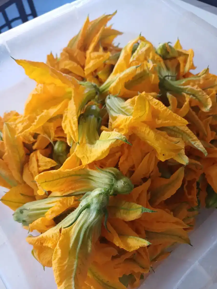 Yemek Dünyası – Aşçı Mehmet Usta fotoğraf 2