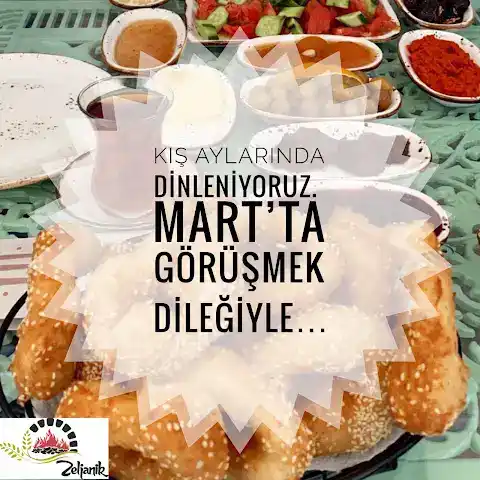 Zeljanik fotoğraf 2