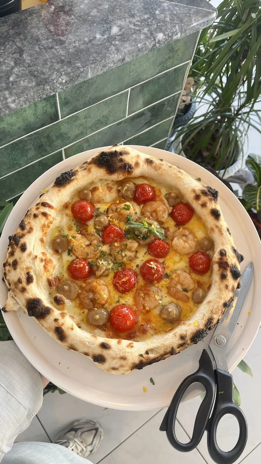 72 Neapolitan fotoğraf 2