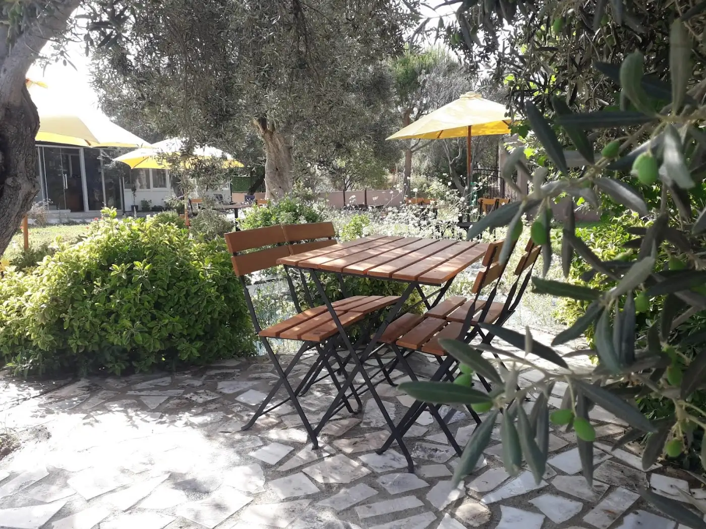 Terrace Butik Kahvaltı