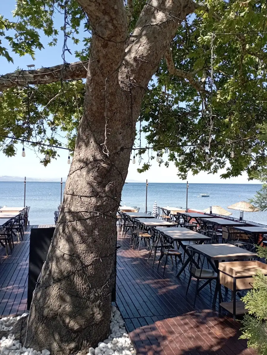 Deep Cafe Restaurant fotoğraf 3