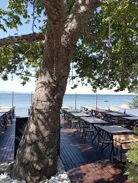 Deep Cafe Restaurant fotoğraf 3