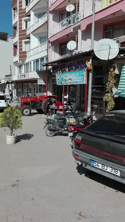 Çaygören Balıkevi fotoğraf 2