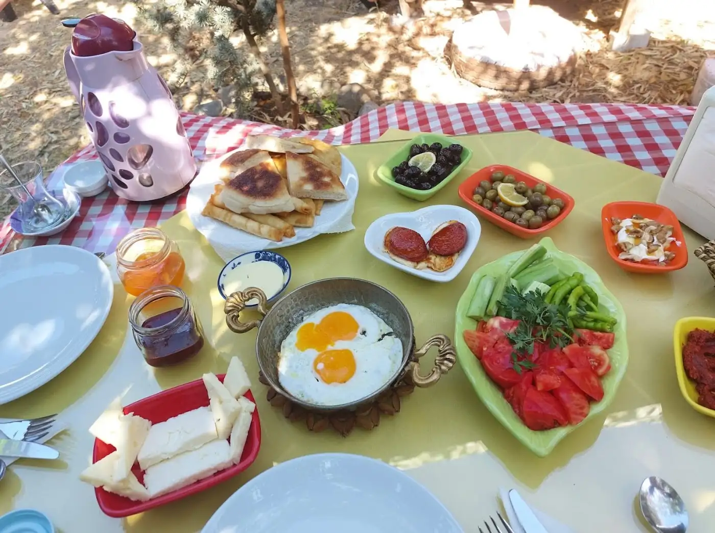 Çiçekli Bahçem fotoğraf 2
