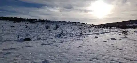 Bolu Dörtdivan Aile Sağlığı Merkezi