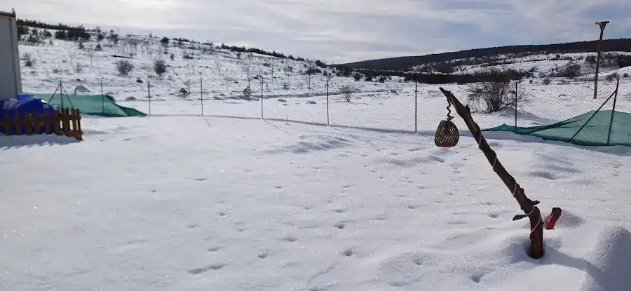 Bolu Dörtdivan Aile Sağlığı Merkezi fotoğraf 2