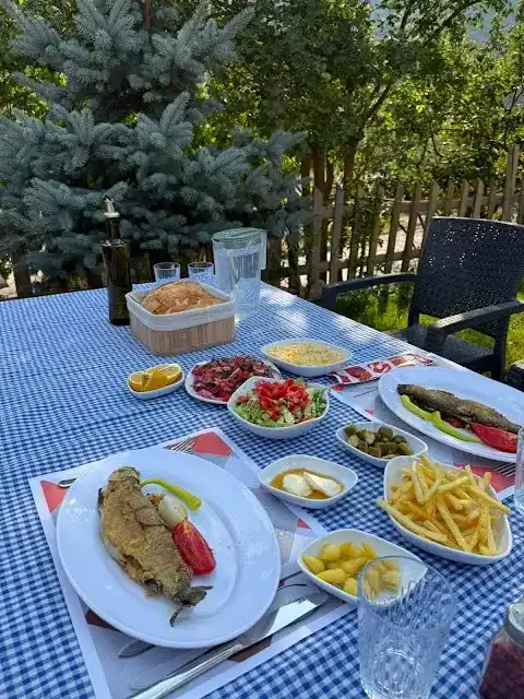 ÇINAR ALABALIK fotoğraf 2