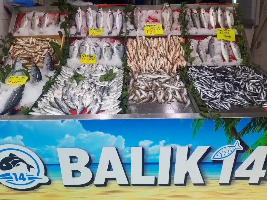 Balık14