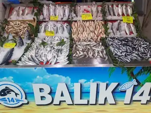 Balık14