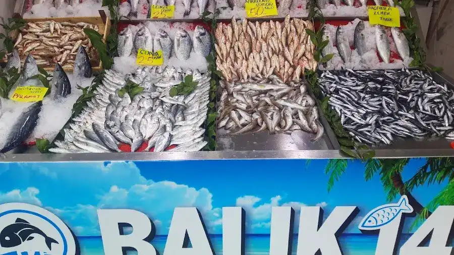 Balık14 fotoğraf 3