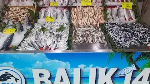Balık14 fotoğraf 3
