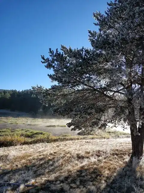 Eğriova Tabiat Parkı