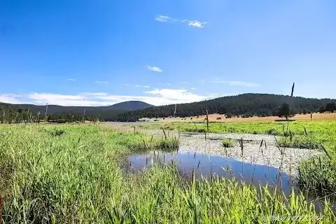 Eğriova Tabiat Parkı fotoğraf 2