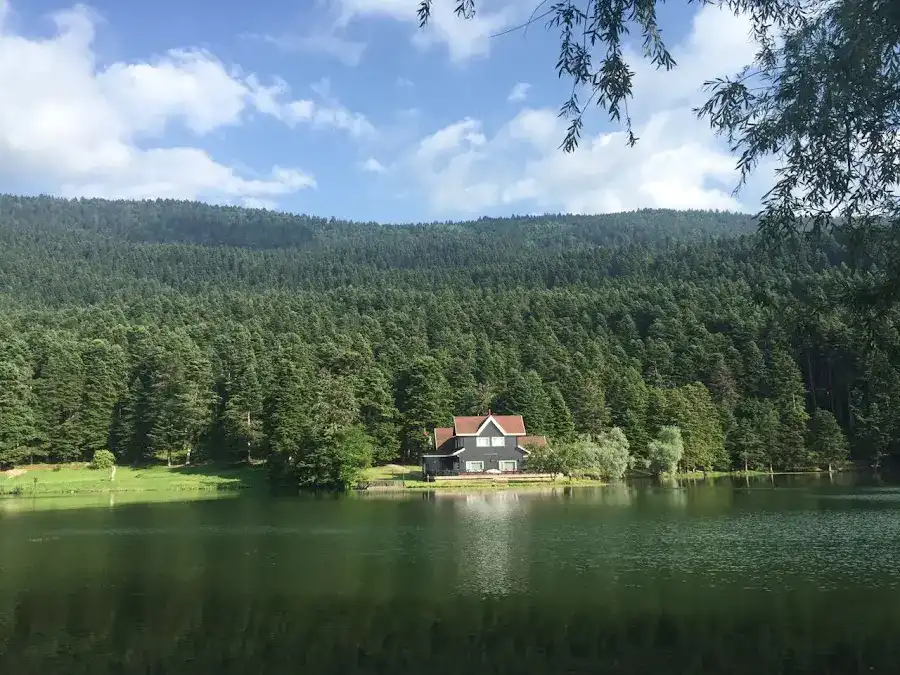 Gölcük Kır Evi | Gölcük Bungalov fotoğraf 3