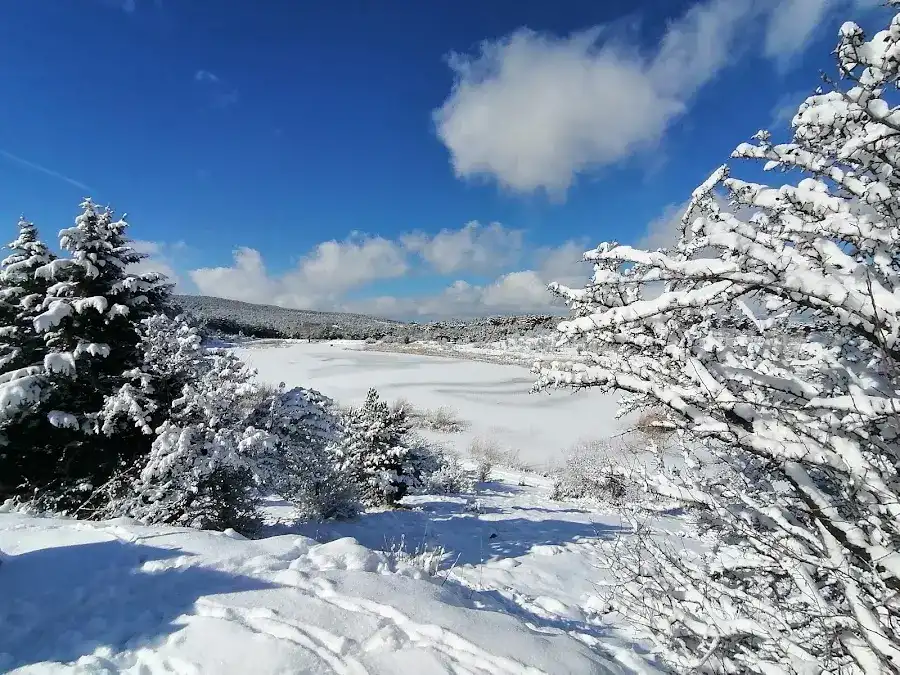 Karagöl Dağ Evleri fotoğraf 2