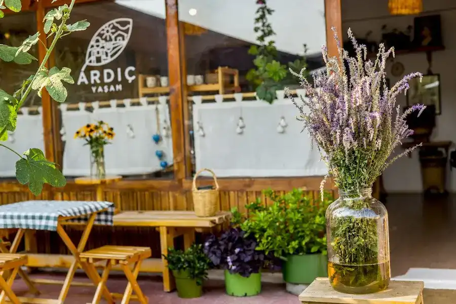 Ardıç Yaşam Atölyesi & Cafe fotoğraf 3