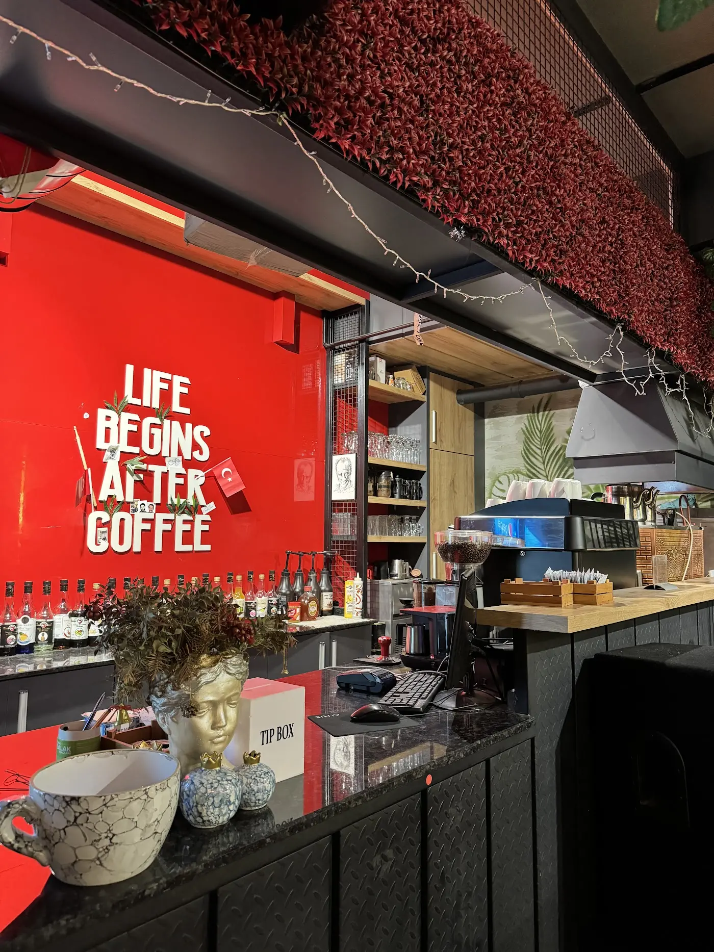 Daily Dose Cafe