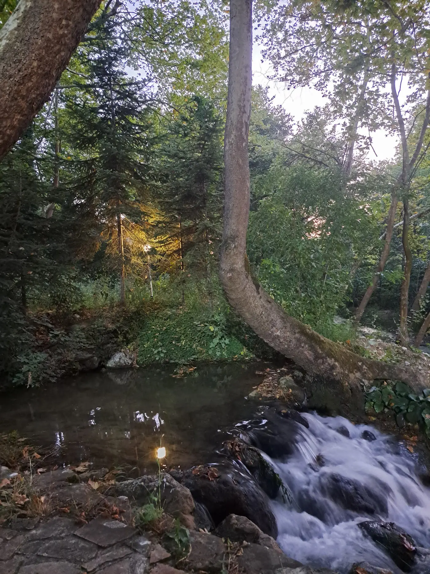 Dokurcun Dere Kenarı Restaurant fotoğraf 3
