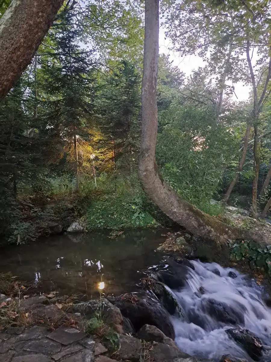 Dokurcun Dere Kenarı Restaurant fotoğraf 3