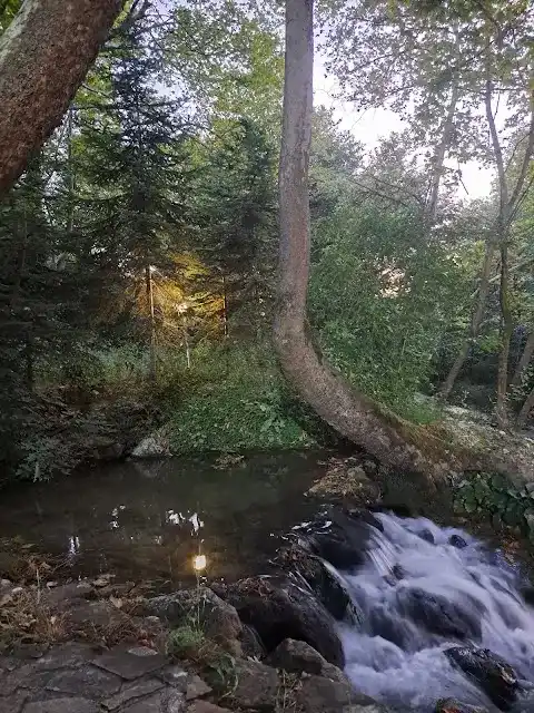 Dokurcun Dere Kenarı Restaurant fotoğraf 3