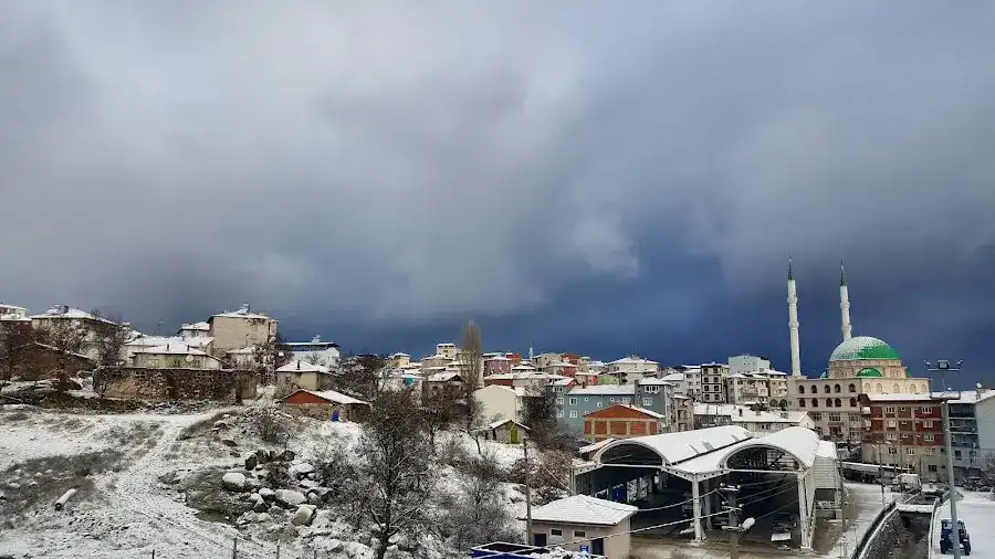Büyükorhan Belediyesi