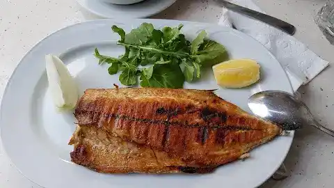 Gemlik Balıkçısı fotoğraf 2
