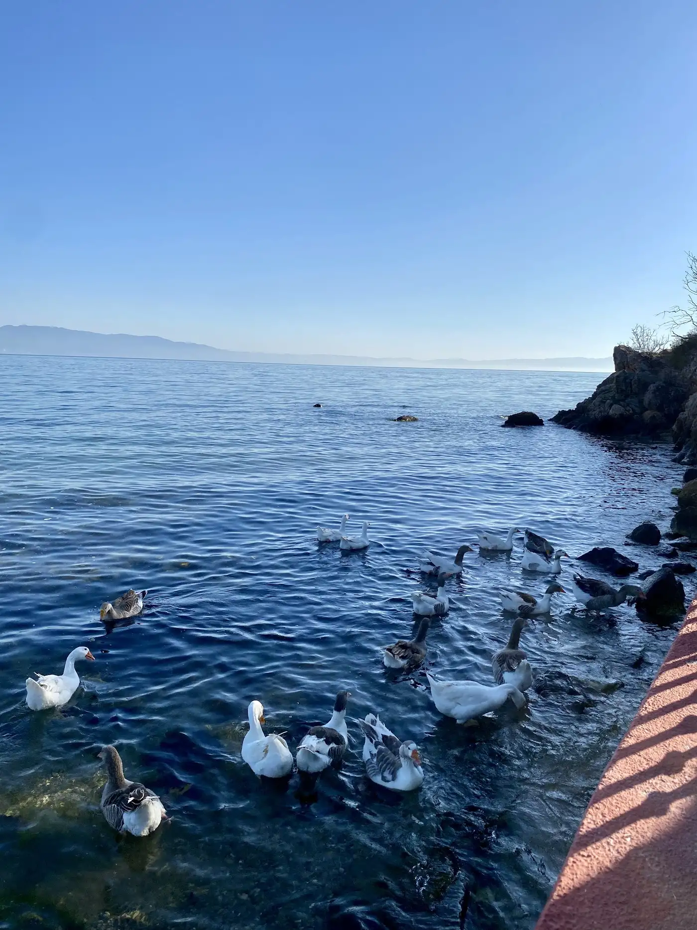 Narlı Yakamoz Et Mangal fotoğraf 3