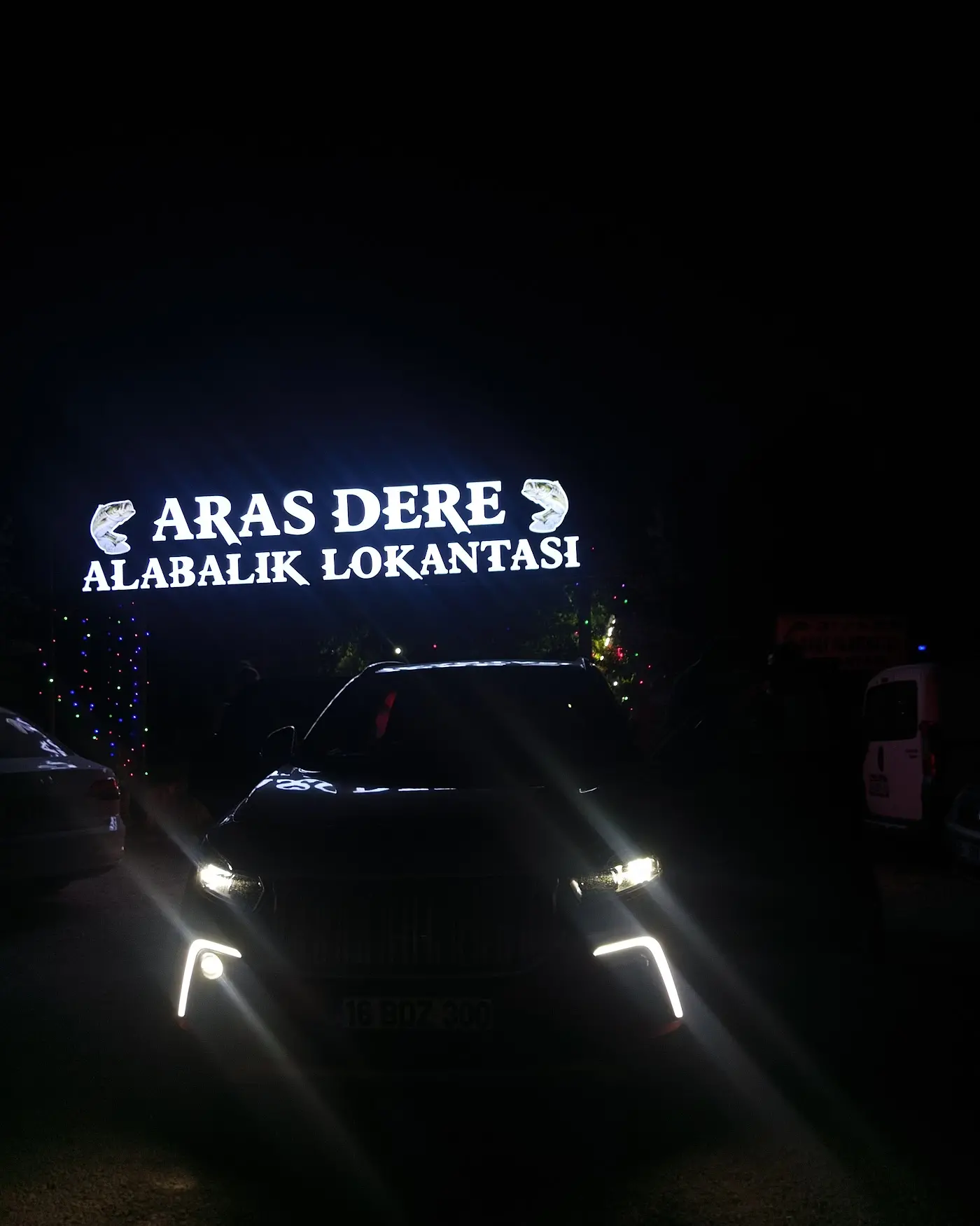 Aras Dere Alabalık Tesisleri fotoğraf 3