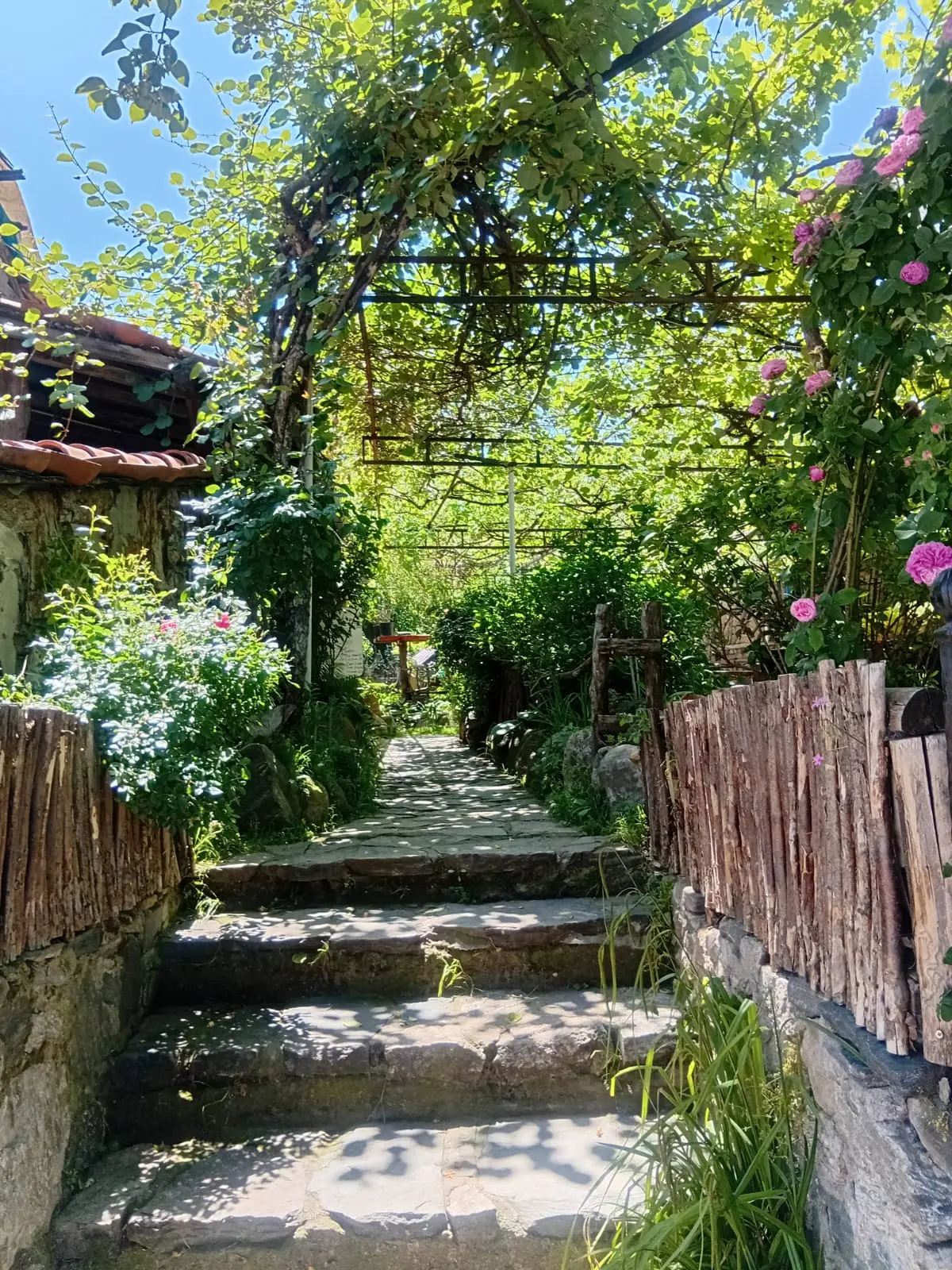 Değirmenci Kahvaltı fotoğraf 3