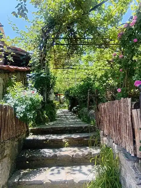 Değirmenci Kahvaltı fotoğraf 3