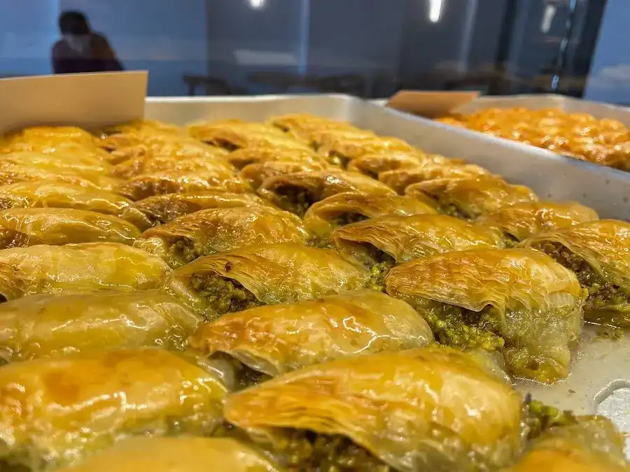 Ceren Pastanesi fotoğraf 3