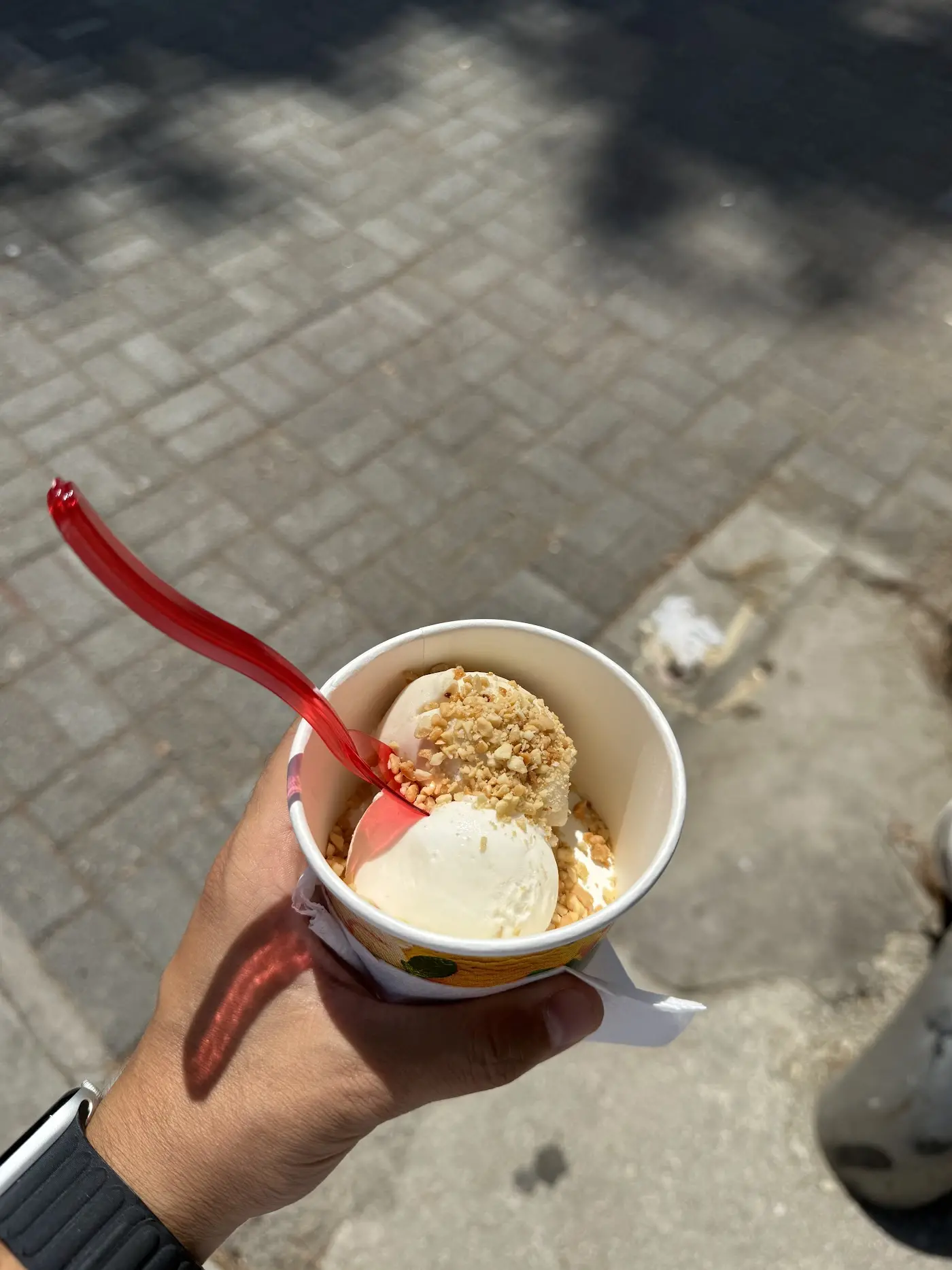 Meşhur İznik Dondurmacısı