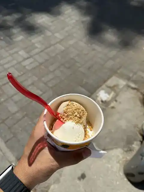 Meşhur İznik Dondurmacısı