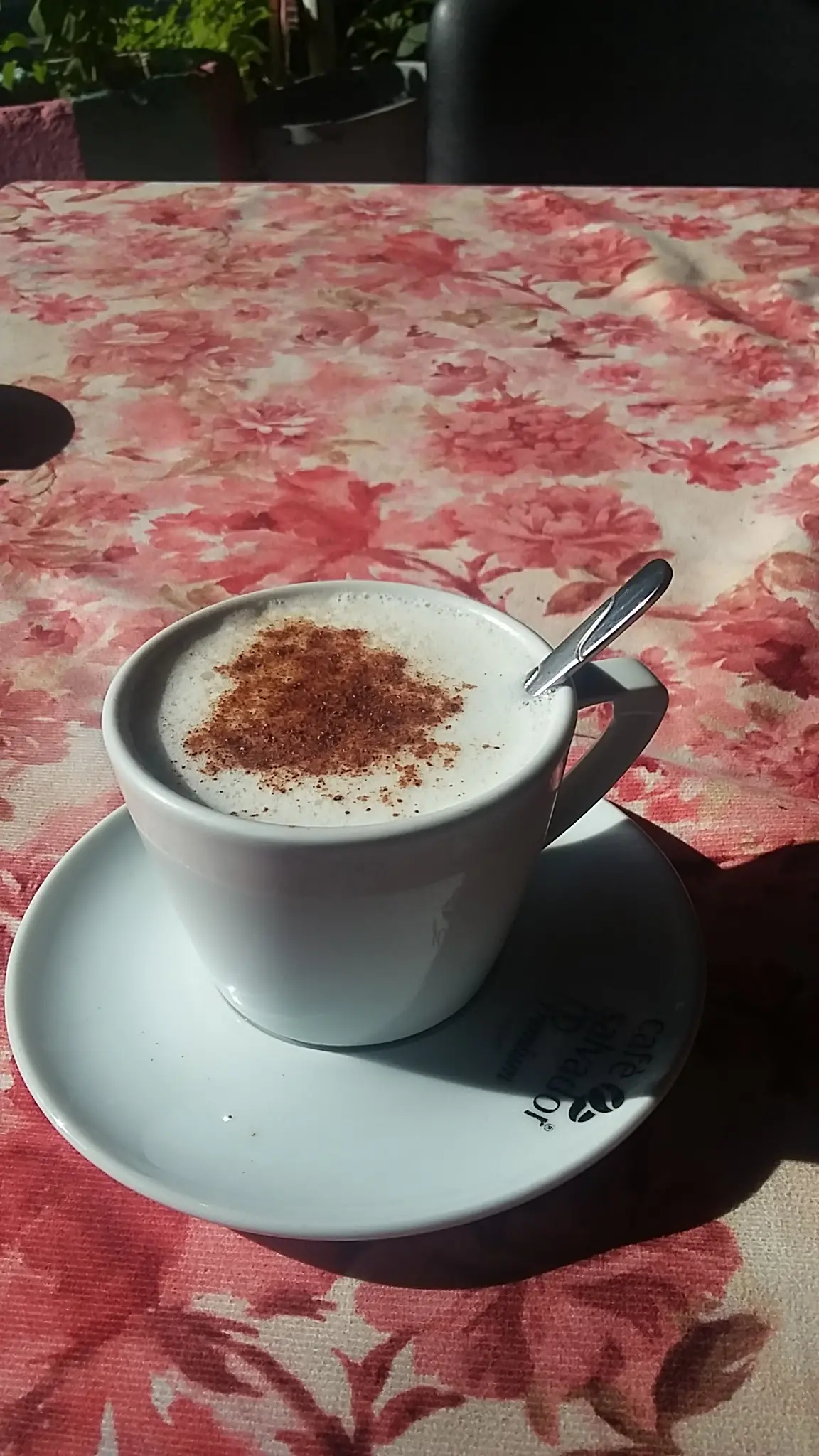 Park Restoran fotoğraf 3