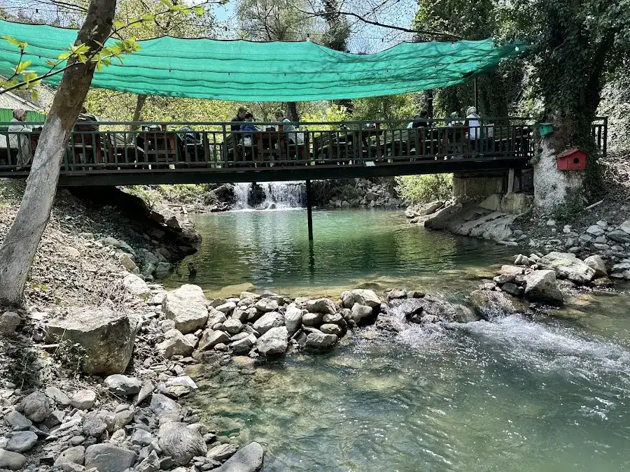 Bahçemis Et Mangal Kahvaltı fotoğraf 3