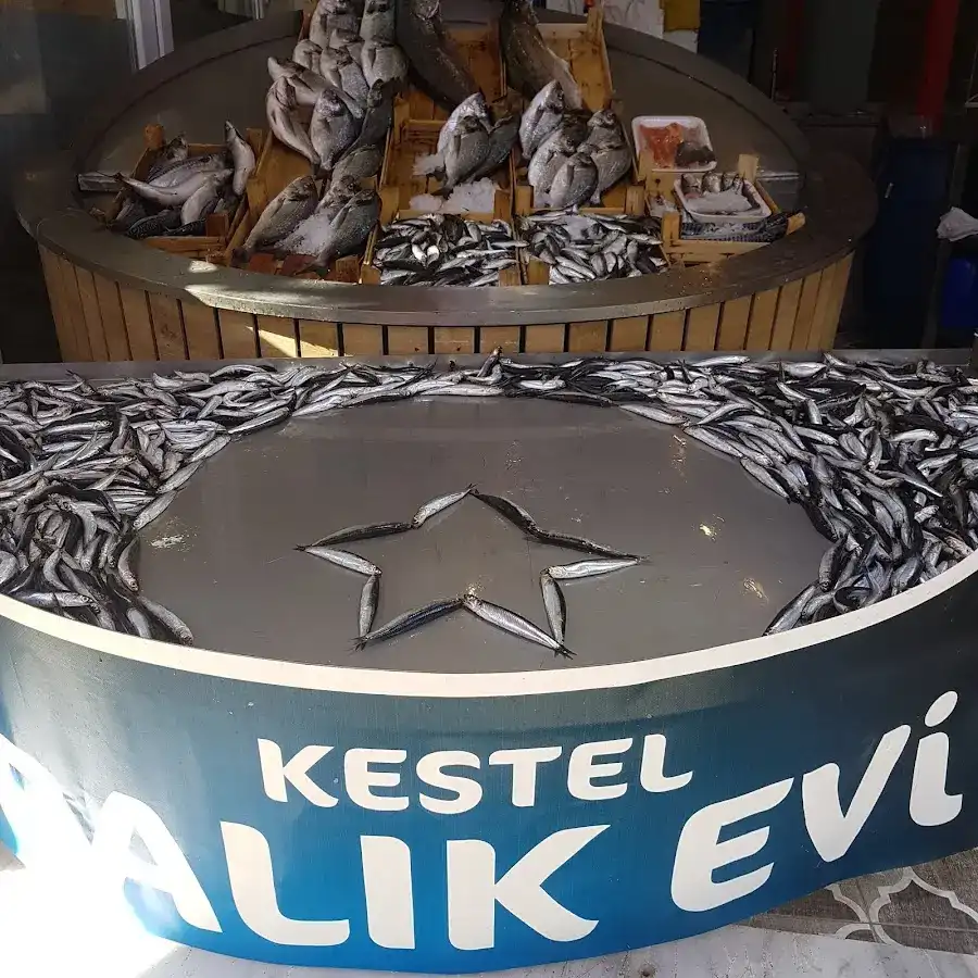Kestel Balik Evi fotoğraf 2