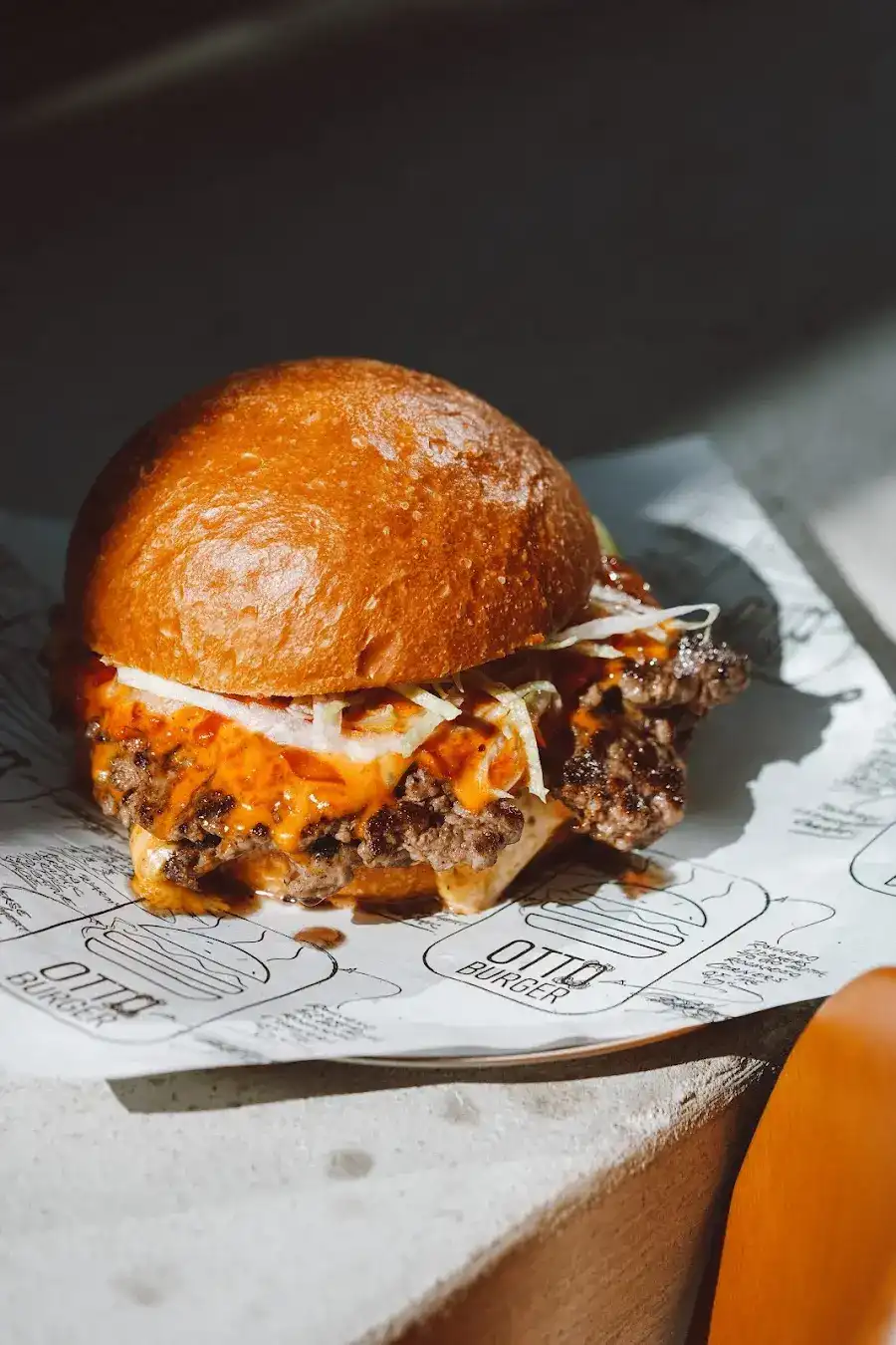 Otto Burger fotoğraf 2