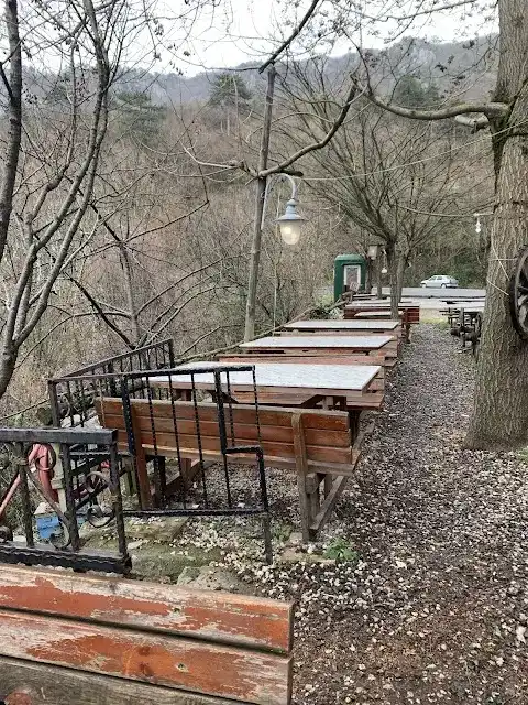 Şahinkaya Alabalık ve Et mangal