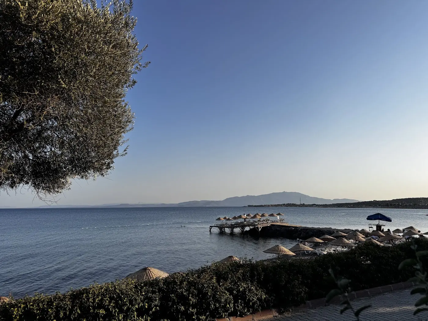 Assos Oveliskos Restaurant fotoğraf 3