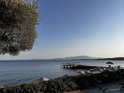 Assos Oveliskos Restaurant fotoğraf 3