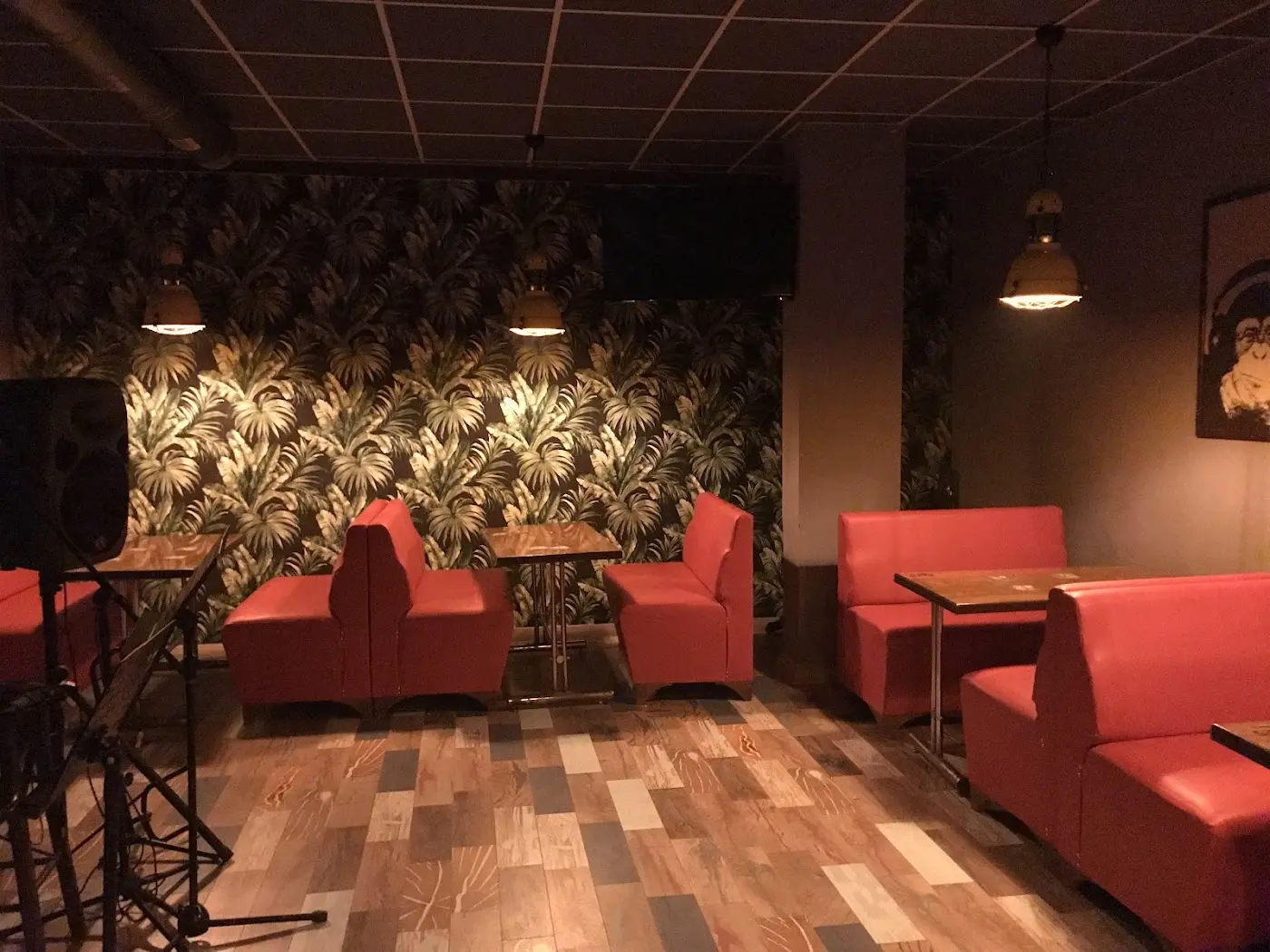 Kaktüs PUB Bayramiç