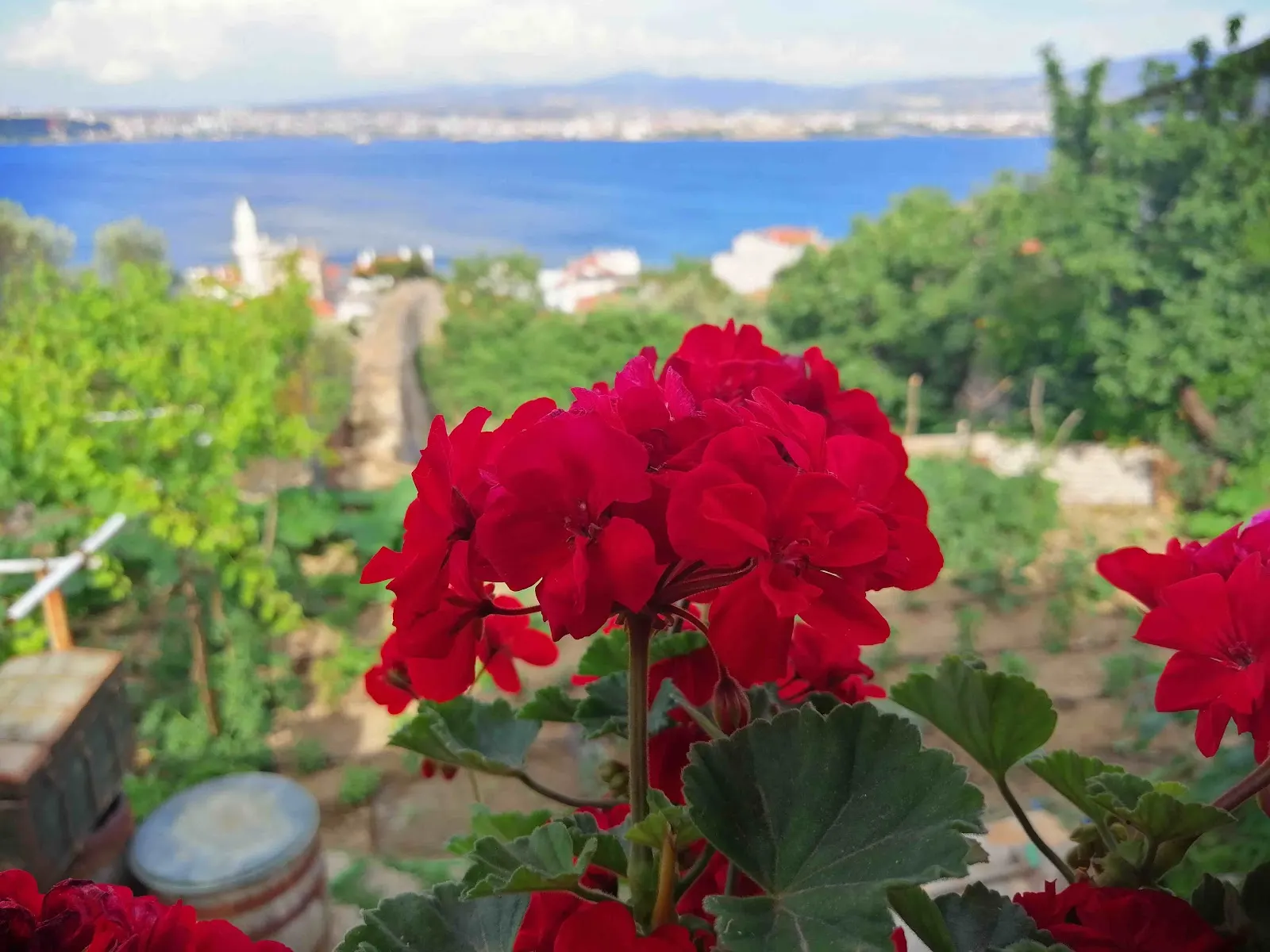 Tepe Ev Pansiyon Kilitbahir fotoğraf 3